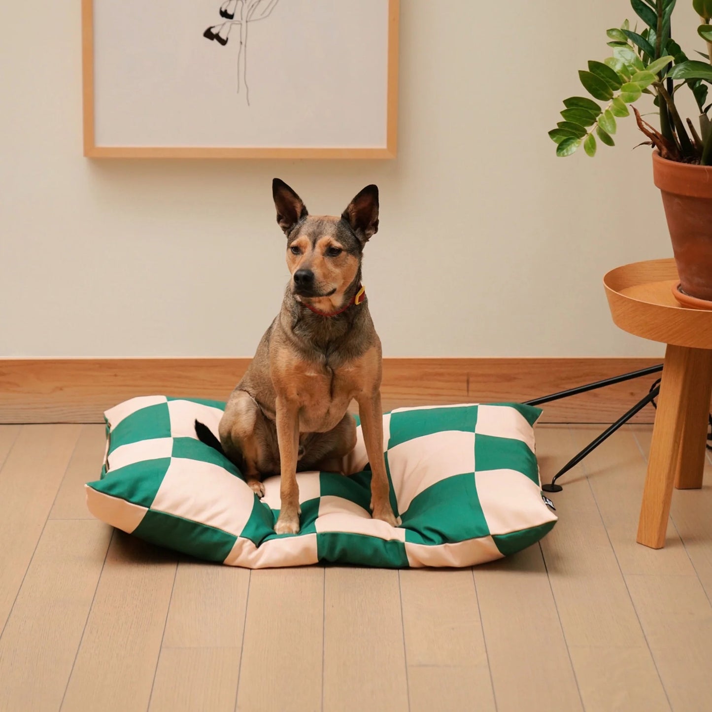 The Fritz Bed (recycled materials)