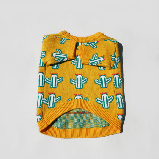 Cactus Sweater