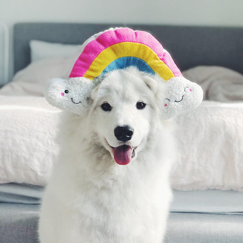 Over the Rainbow Toy