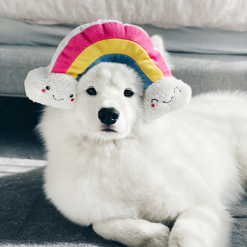Over the Rainbow Toy